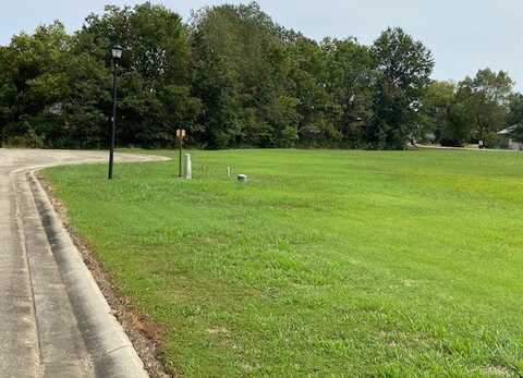 Lot 33 Chandler Lane, Dexter, MO 63841