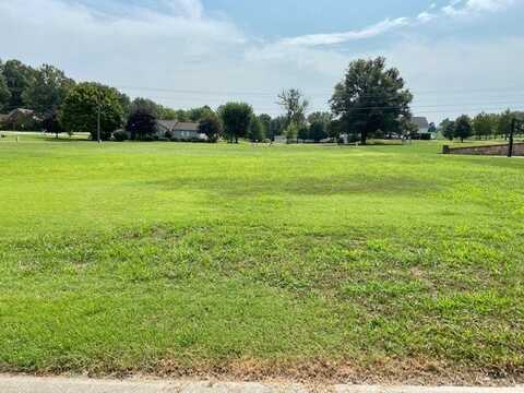 Lot 34 Chandler Lane, Dexter, MO 63841