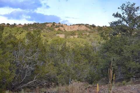 1479 Bishops Lodge Road, Santa Fe, NM 87506