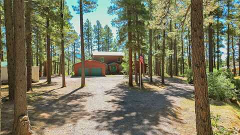 812 Timberidge Road, Chama, NM 87520