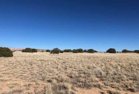 0.6 Acre Buffalo Trail, Abiquiu, NM 87510