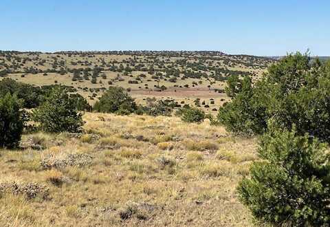 Lots 2 & 5 Red Hill West Subd., Quemado, NM 87829