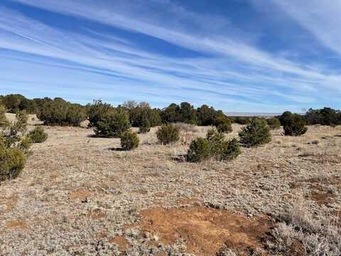 64 Saddle Spur Trail, Edgewood, NM 87015