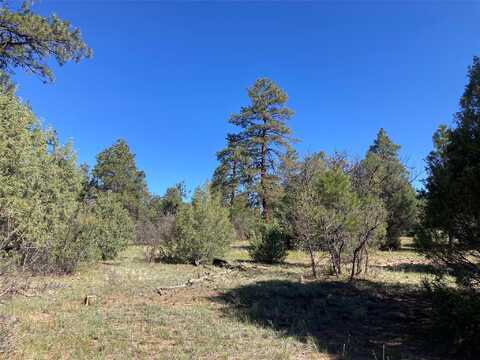 Tbd Rim Drive Lots 70 & 71, Rutheron, NM 87551