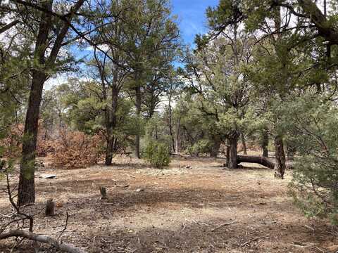 Tbd Talavera Unit 1 Lot 14, Tierra Amarilla, NM 87575