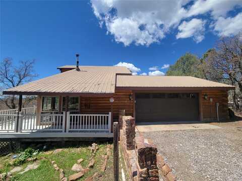 29 Buck Dr, Los Ojos, NM 87551