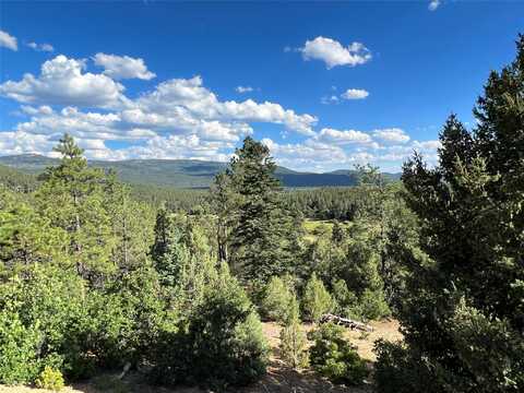 0 Badger Park 4 Ticonderoga, Chama, NM 87520