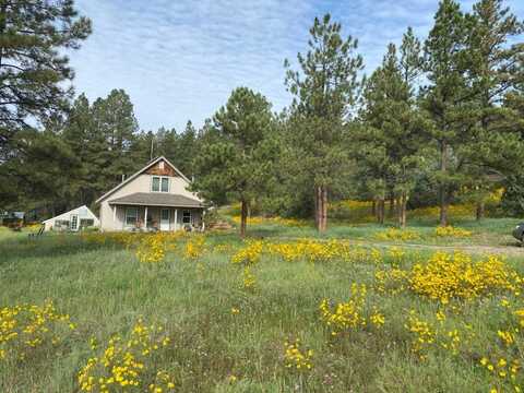 150 Forest Service Road 124, Cebolla, NM 87518