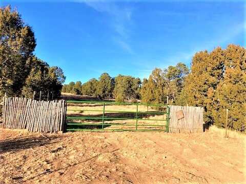 Lot 4 CR A20, Las Vegas, NM 87701