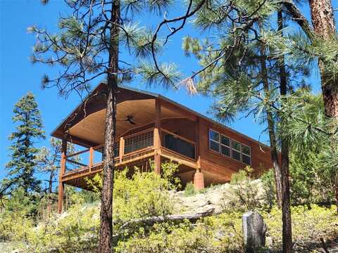 196 Ticonderoga Dr, Chama, NM 87520