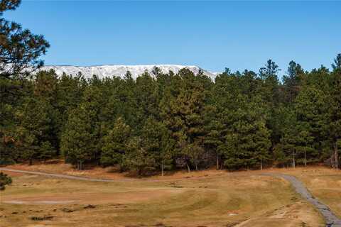 Lot 45 Camino Facil, Rociada, NM 87742