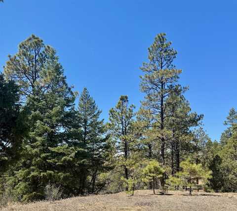 2a CR 349, Chama, NM 87520