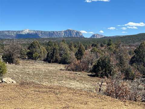 32 Resolana Circle, Tierra Amarilla, NM 87575