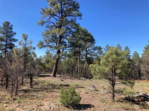 Tbd Rim Drive Lots 72 & 73, Rutheron, NM 87551