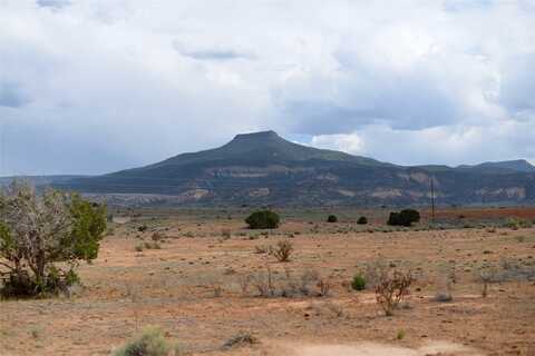 Lot 21 & 22 Private Drive 1725, Abiquiu, NM 87064