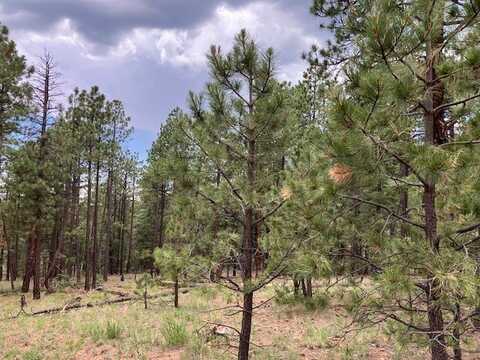 23 Acres, Pecos, NM 87552