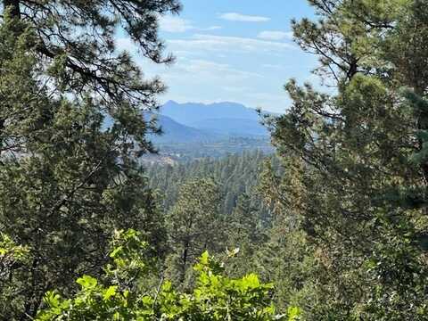 Tbd Log Ridge Trail, Chama, NM 87520