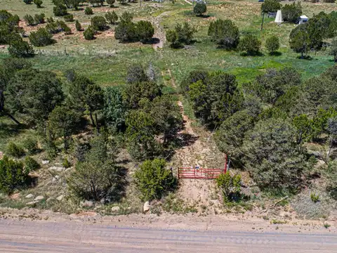 36 Forest Road 321, Estancia, NM 87016