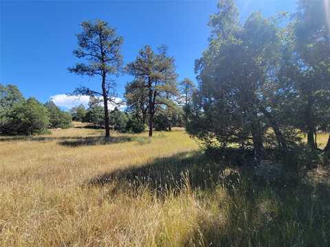 Lot 64 Rim, Los Ojos, NM 87551