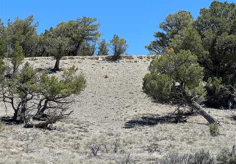 Tbd Buena Vista Road, Tierra Amarilla, NM 87575