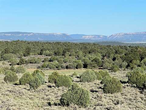 Tbd Highway 84/64, Tierra Amarilla, NM 87575