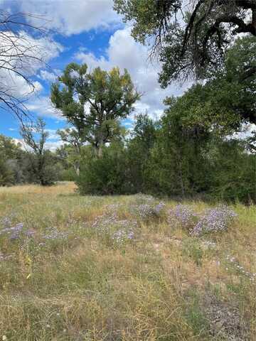 Off Cr 120 CR120, La Mesilla, NM 87532