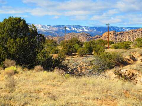 Lot 1b Arroyo Largo, Ojo Caliente, NM 87549