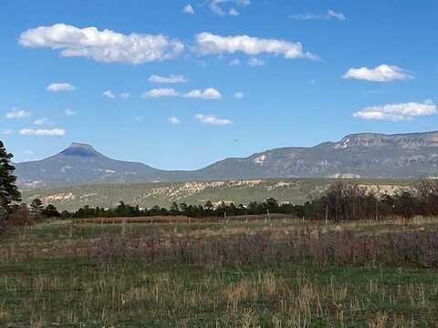 20.535 Acres CR 425, Coyote, NM 87012