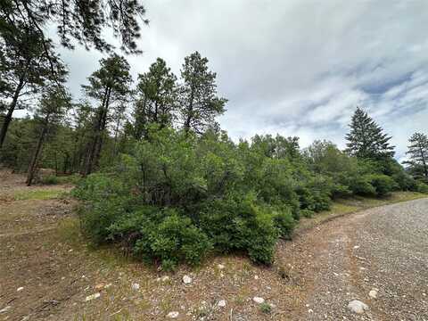 Block 1 Lot 19 Brazos Estates, Chama, NM 87520