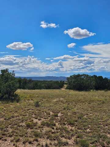 21 Blazing Star, Santa Fe, NM 87506