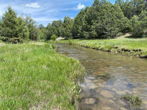 Southeast Mesa Tract & Cecil Cox Tract, Tierra Amarilla, NM 87575