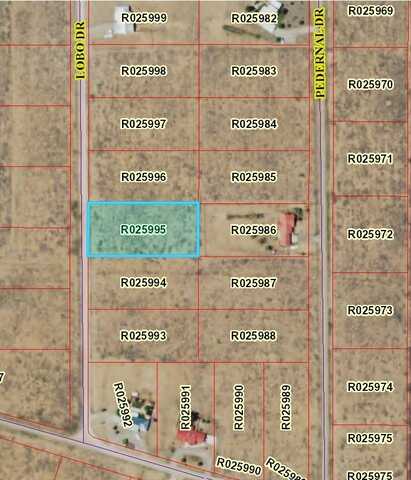 Lot 20 Lobo Road, Moriarty, NM 87035