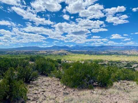 00 Tract Black Mesa, Ojo Caliente, NM 98749