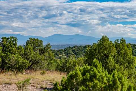 95 Grenfell Ranch & 30 Blue Agave, Cerrillos, NM 87010