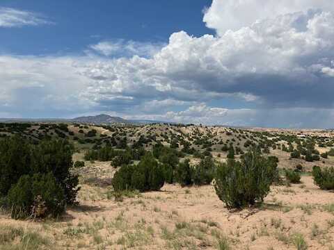 Lot 3 Private Drive 1613B, Medanales, NM 87548