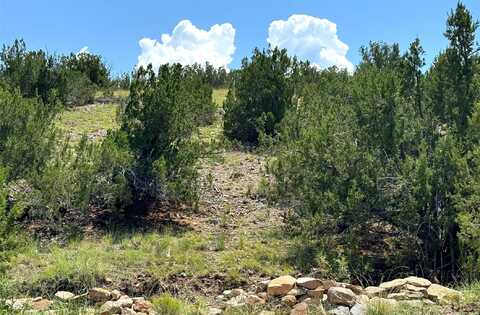 16 Goldmine Road, Cerrillos, NM 87010