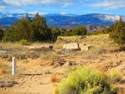 Lot 1a Arroyo Largo, Ojo Caliente, NM 87549