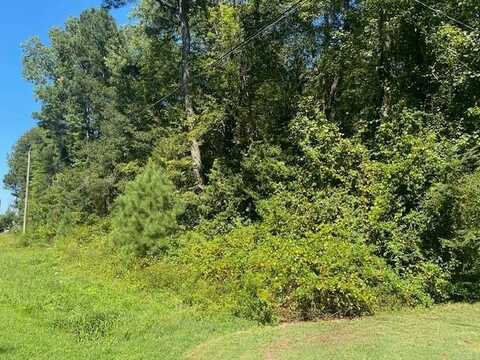 Lot 46 NOCKS LANDING RD, ATLANTIC, VA 23303