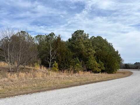 Lot X BUTLER'S BLUFF DR, CAPE CHARLES, VA 23310