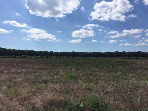 Lot 51 LANKFORD HWY, NEW CHURCH, VA 23415