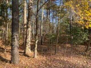 Lot 22A2 JUNIPER LANE, NEW CHURCH, VA 23415