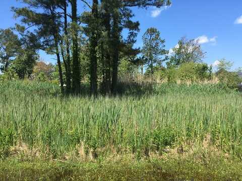 Lot 236 PINE TREE WAY, CHINCOTEAGUE, VA 23336