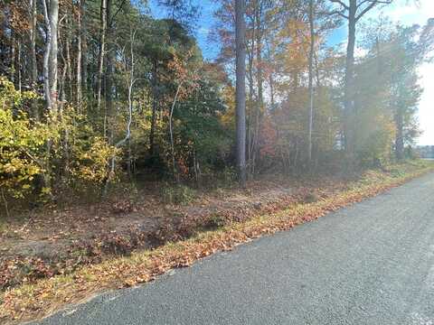 Lot 1 BAILEY ROAD, GREENBUSH, VA 23357