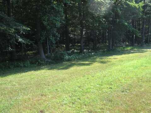 Lot 104 COVENTON LANE, HORNTOWN, VA 23395