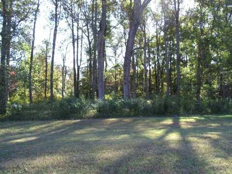 Lot 111 COVENTON LANE, HORNTOWN, VA 23395