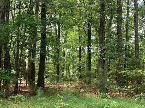 Lot 5 PEACEFUL POND DR, JAMESVILLE, VA 23398