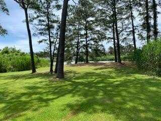 LOT 221 NORTH HIBISCUS DR, CHINCOTEAGUE, VA 23336