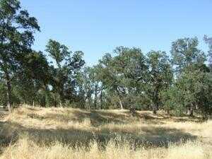 Oak Run Rd, Millville, CA 96062