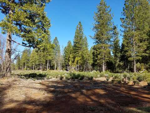 Lot 32 Shingle Glen Trail, Shingletown, CA 96088