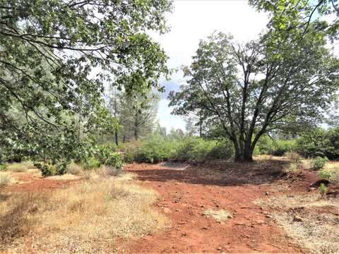 28083 CA-44, Shingletown, CA 96088